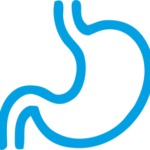 digestive2